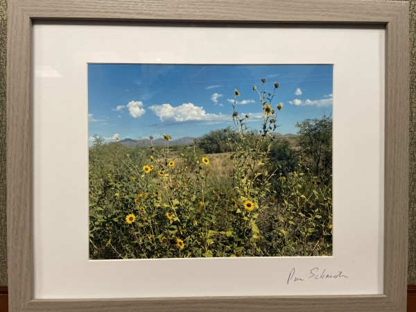 Sunflowers by Anne L. Schneider