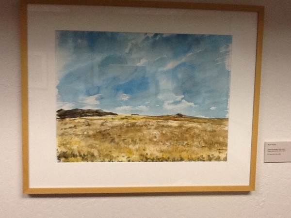 Desert Skyscape by Mark Reader