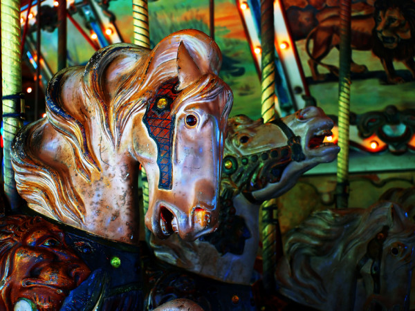 Palamino Carousel Horse Portrait