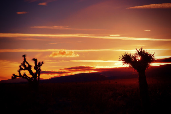 Mojave Desert Sunset by Mark Peacock