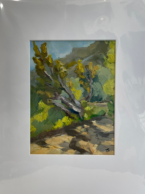 Abiquiu Inn Path by Phyllis A. Gunderson