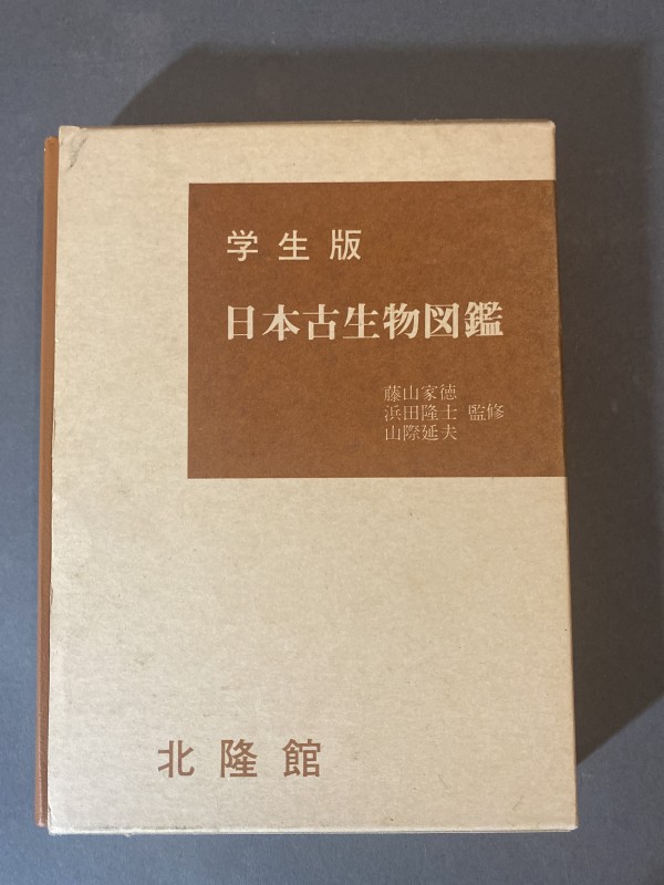 日本の木造塔跡　心礎集成とその分析 20 日本の木造塔跡 - 心礎集成とその分析 - | 「雄山閣」学術