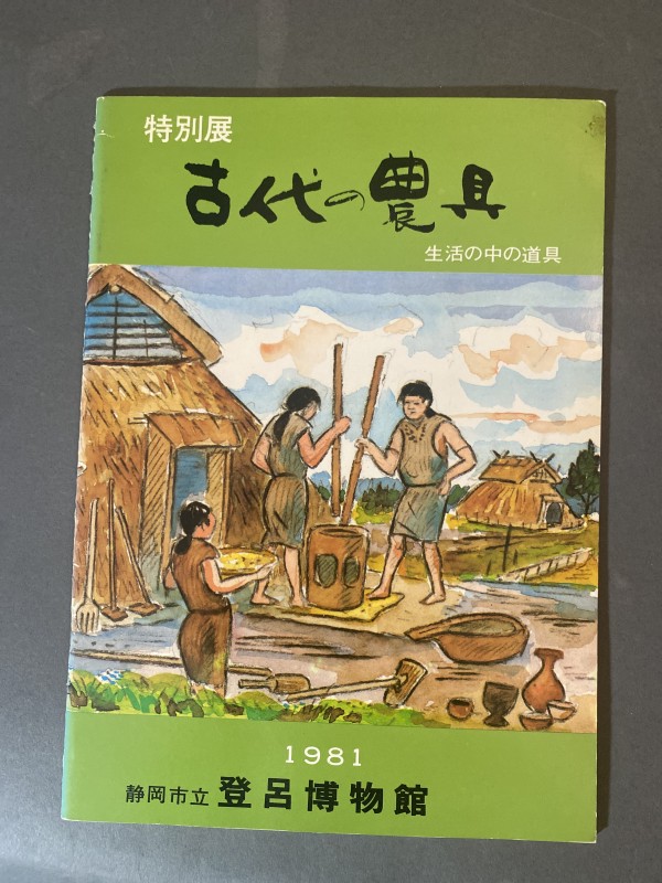 エジプト アコリス遺跡発掘調査報告書 - 人文/社会ブランド 品 通販