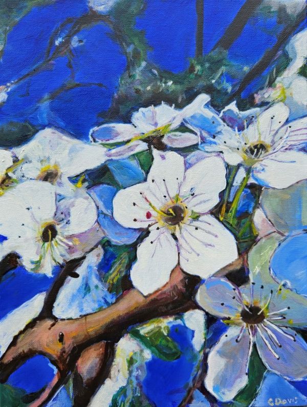 Blossom by Christine Davis