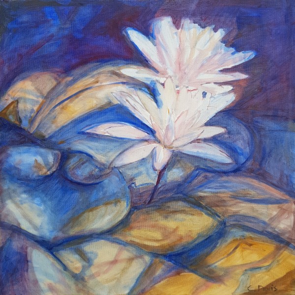 Lilies in the Blue by Christine Davis