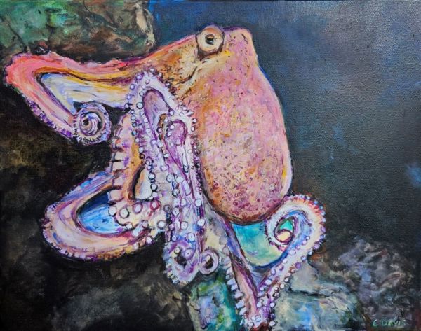Octopus by Christine Davis