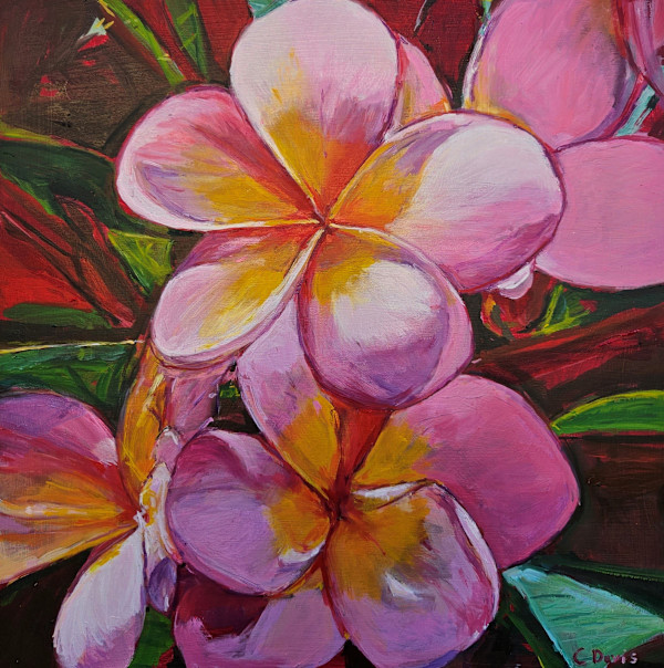 Plumeria Blooms by Christine Davis, Image 1.