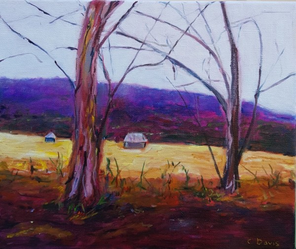 Pink Highlights in the Australian Landscape by Christine Davis