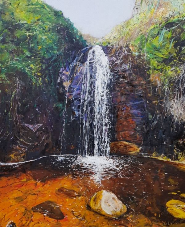 Second Waterfall at Waterfall Gully by Christine Davis