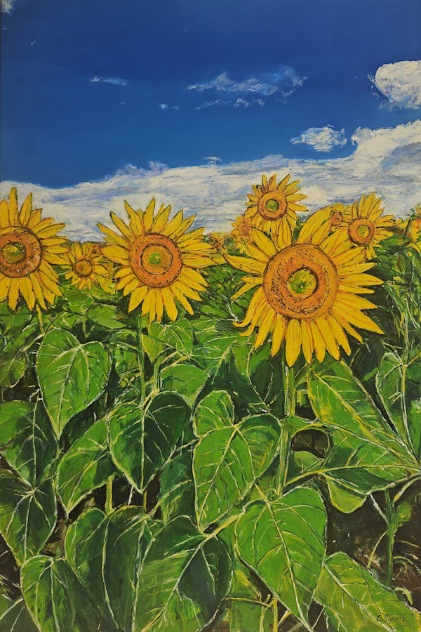 Sunflowers by Christine Davis