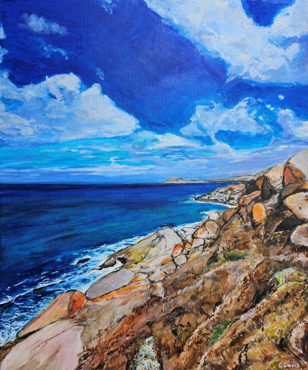 Bluff view from Granite Island by Christine Davis
