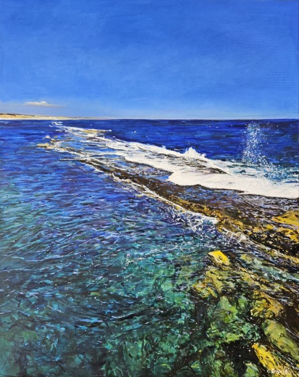 Port Noarlunga Reef by Christine Davis