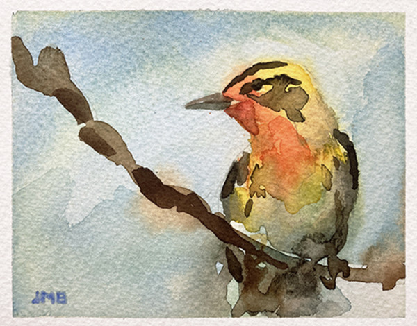 Bird Study in Watercolour