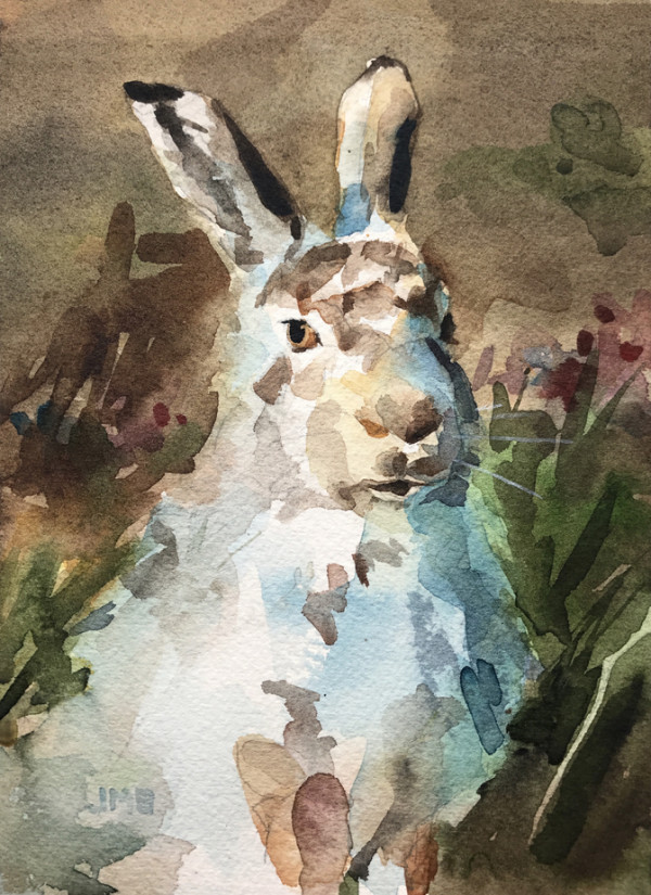 Hare In The Brush