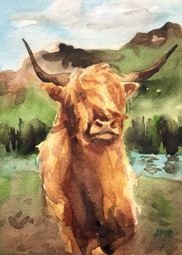 Highland Cow with River
