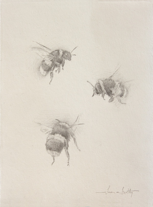 Study of Three Bumble Bees II by Jason Bentley