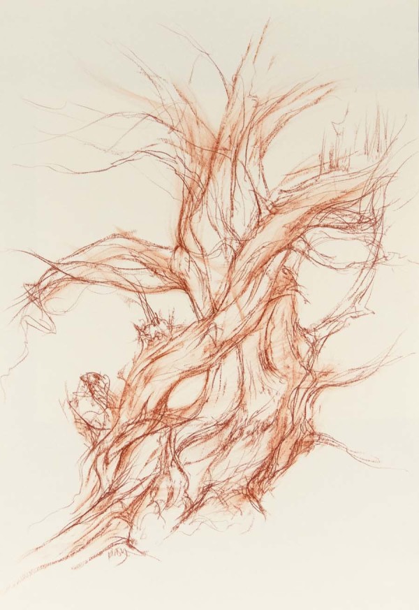 Abercorn yew south by Tansy Lee Moir