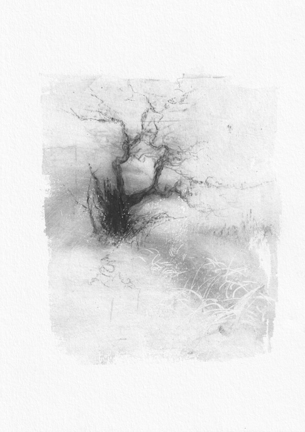 Alder pastures 7 by Tansy Lee Moir, Image 1.