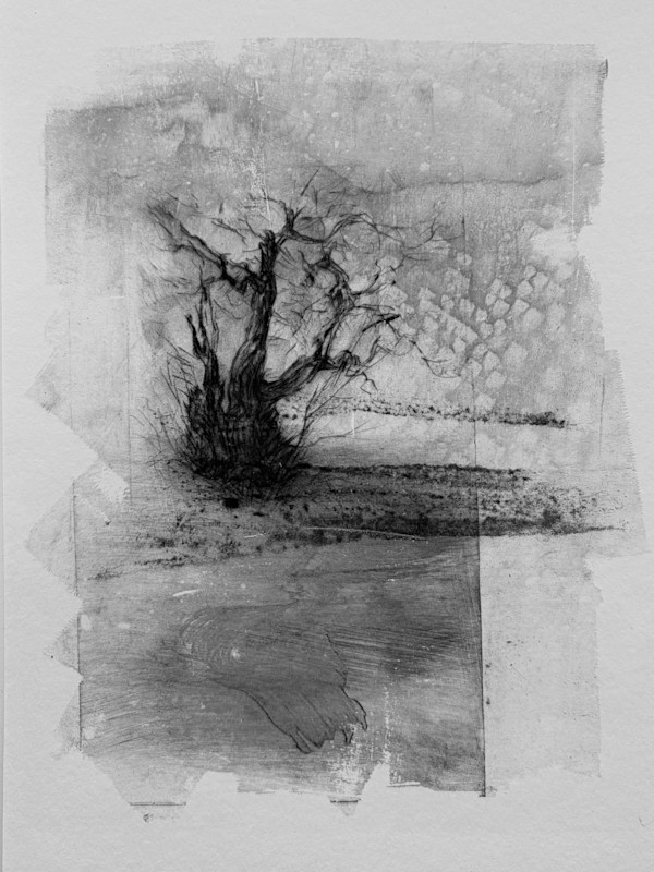Alder pastures 16 by Tansy Lee Moir