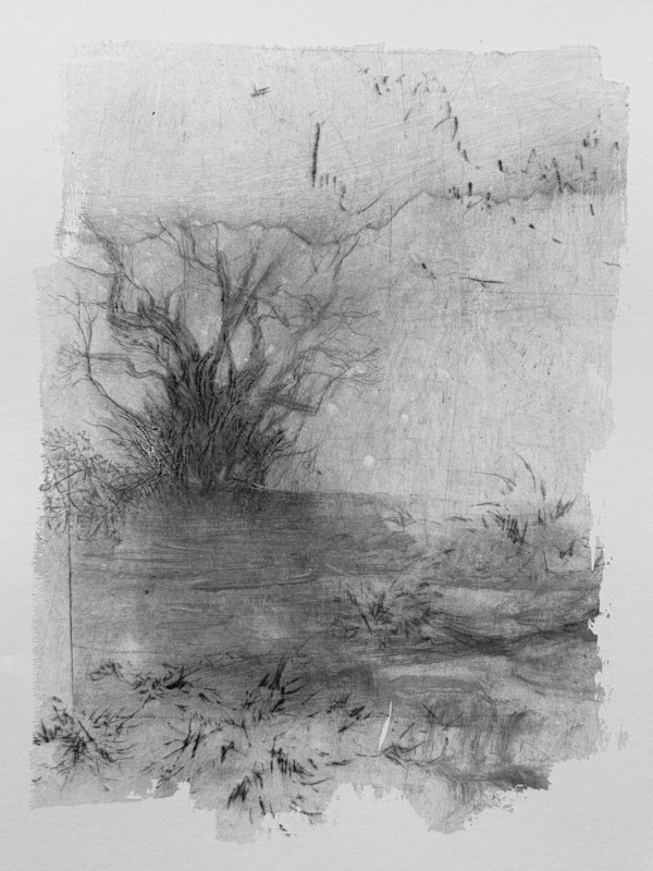 Alder pastures 20 by Tansy Lee Moir, Image 1.