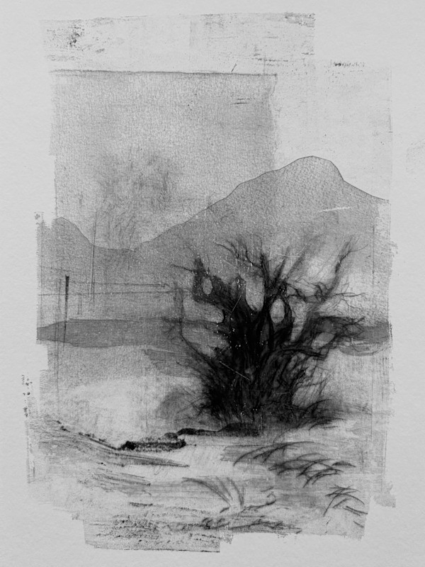Alder pastures 21 by Tansy Lee Moir, Image 1.
