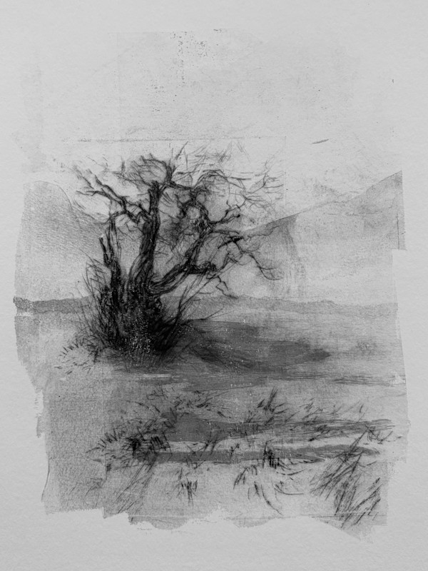 Alder pastures 22 by Tansy Lee Moir, Image 1.