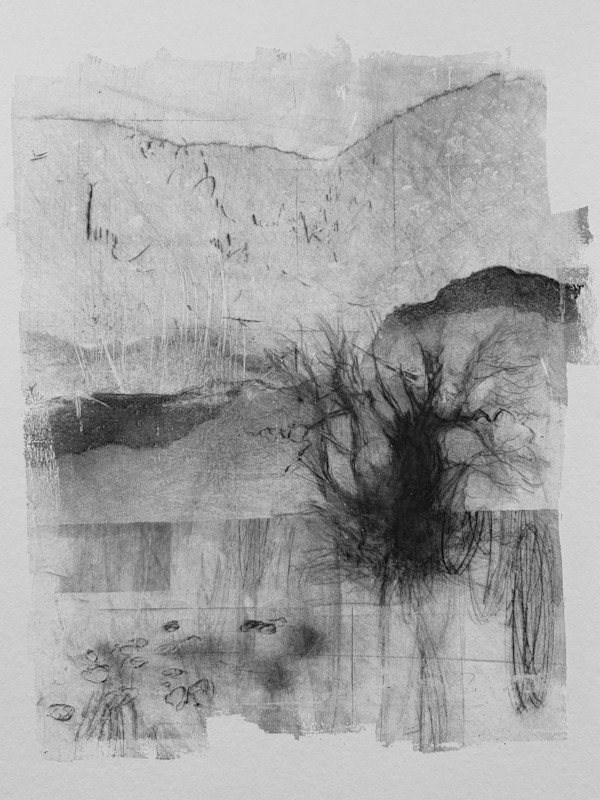 Alder pastures 23 by Tansy Lee Moir, Image 1.