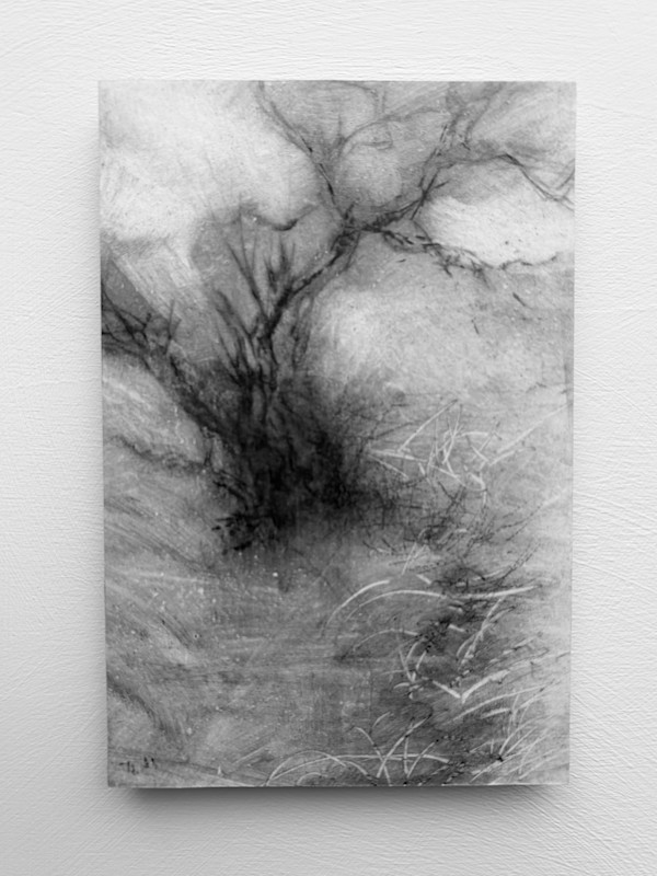 Alder fragments  III by Tansy Lee Moir, Image 1.