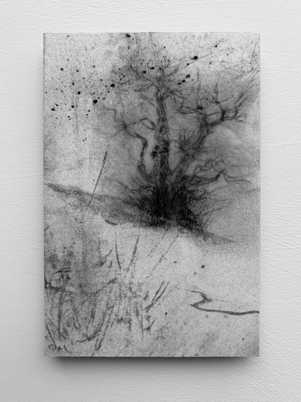 Alder fragments II by Tansy Lee Moir, Image 1.