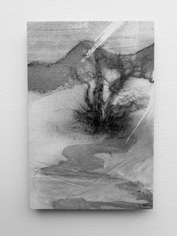Alder fragments I by Tansy Lee Moir, Image 1.