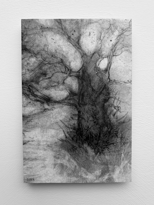 Alder fragments VII by Tansy Lee Moir, Image 1.