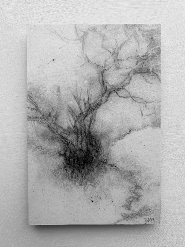 Alder fragments V by Tansy Lee Moir, Image 1.