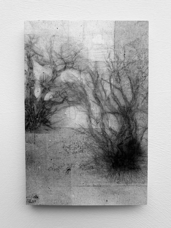 Alder fragments X by Tansy Lee Moir, Image 1.
