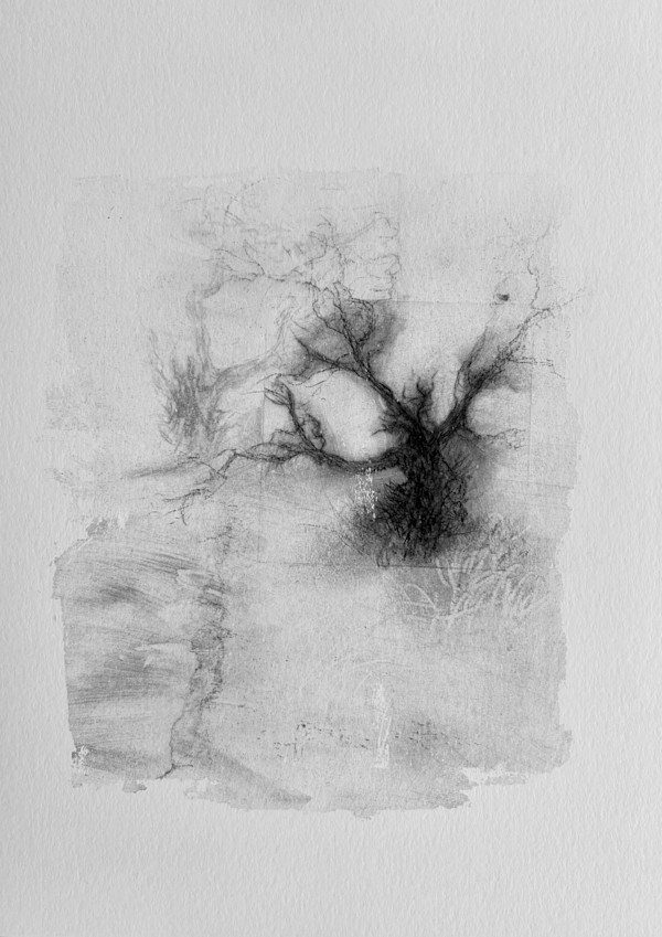 Alder pastures 10 by Tansy Lee Moir, Image 1.