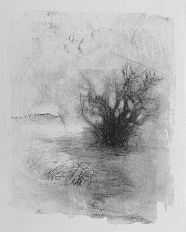 Alder pastures 12 by Tansy Lee Moir, Image 1.