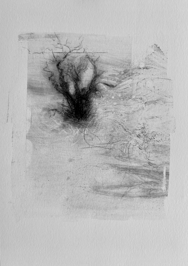Alder pastures 14 by Tansy Lee Moir, Image 1.