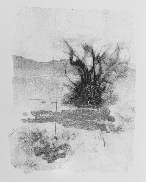 Alder pastures 19 by Tansy Lee Moir, Image 1.