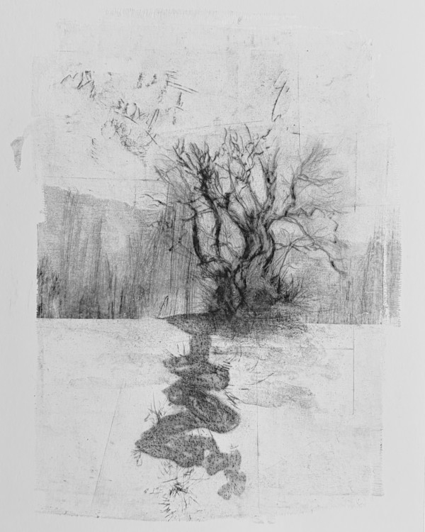 Alder pastures 24 by Tansy Lee Moir, Image 1.