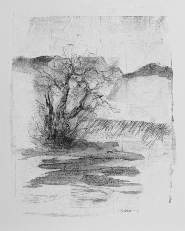 Alder pastures 26 by Tansy Lee Moir, Image 1.