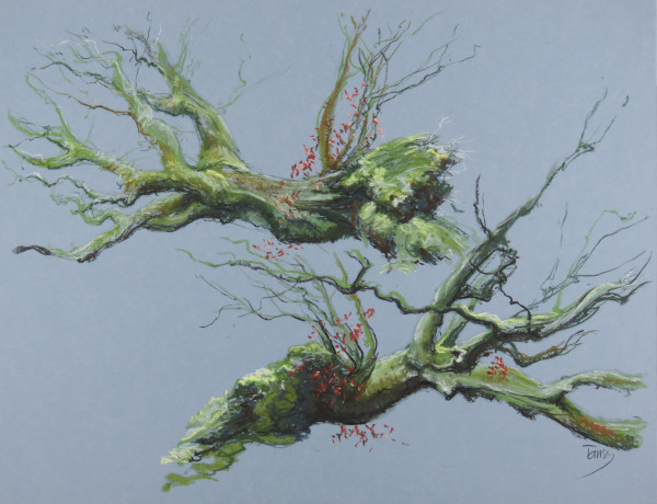 Beecraigs phoenix beech, two views by Tansy Lee Moir