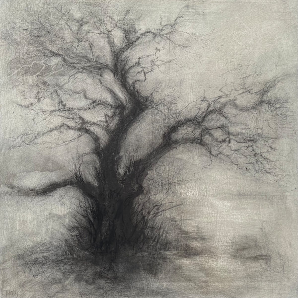 Between places by Tansy Lee Moir