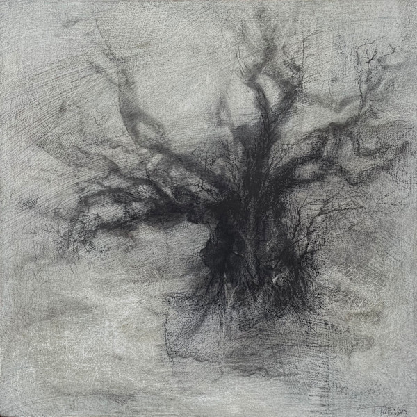 Beyond the breeze by Tansy Lee Moir, Image 1.