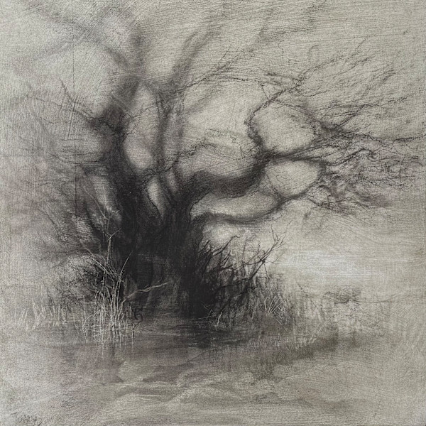 Boundary by Tansy Lee Moir, Image 1.