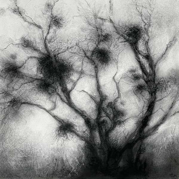 Bruim by Tansy Lee Moir, Image 7.