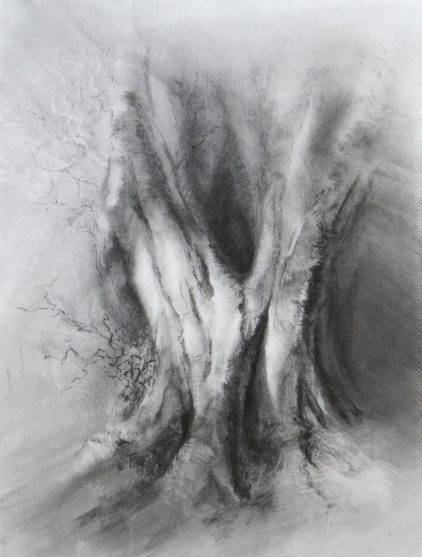 Calder bundled beech