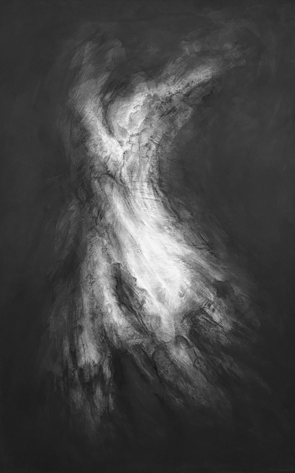 Cambium dance by Tansy Lee Moir, Image 1.