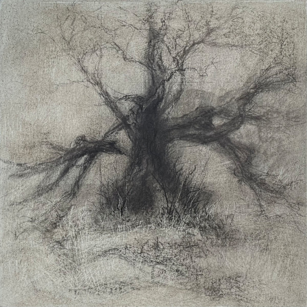 Cusp by Tansy Lee Moir, Image 1.