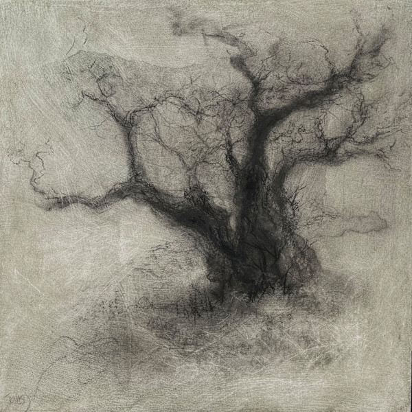 Echo by Tansy Lee Moir