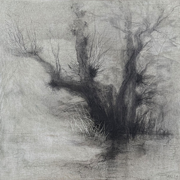 Glimmer by Tansy Lee Moir, Image 1.