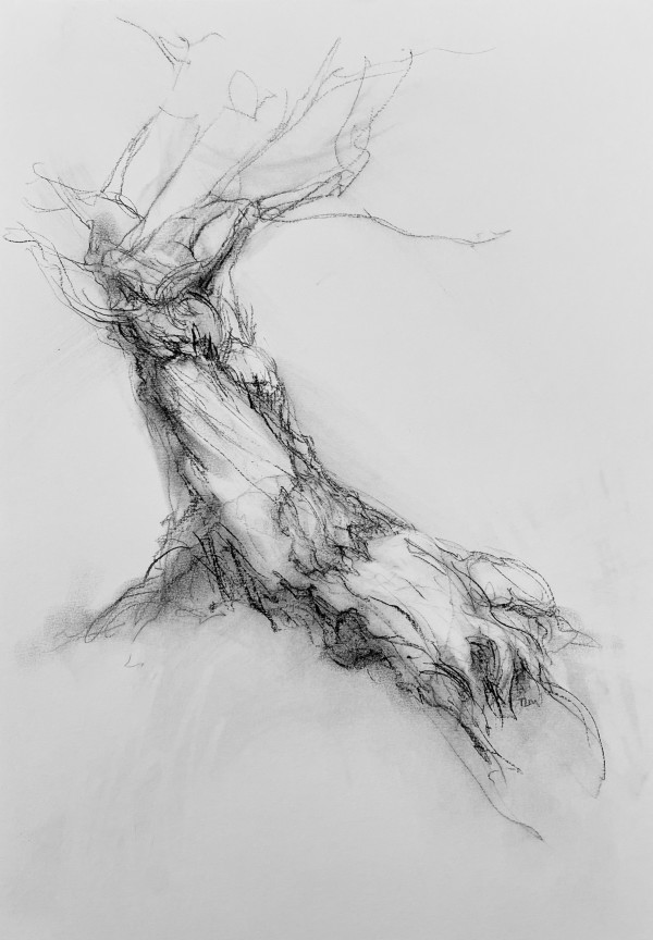 Chatsworth 028 by Tansy Lee Moir, Image 4.